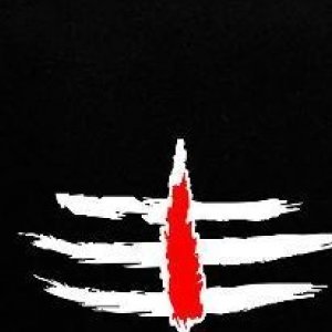 Dinesit PawarProfile Image
