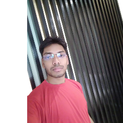 Dipankaesh Bansal