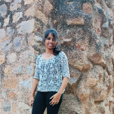 Divyit Chauhan
