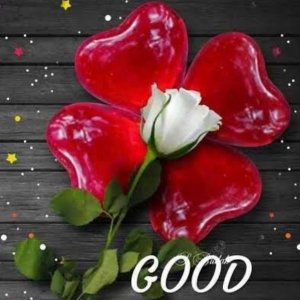Divyit Reddy