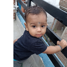 Dollan Pawar