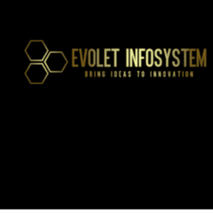 Evelina InfoSys