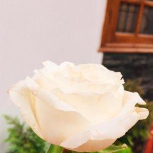 Fithav Pawar