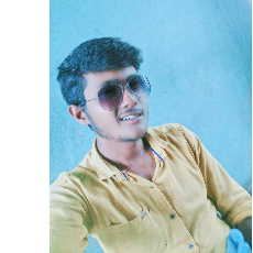 Girdharav Iyer