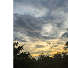 Hala BaigProfile Image