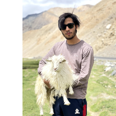 Hamed Khan