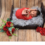 Haniya