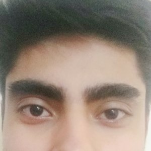 Happan Goyal