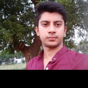 Hariprasatav Reddy
