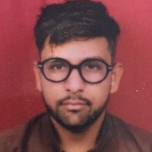 Hitesav Kulkarni
