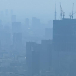 Ido SantosProfile Image