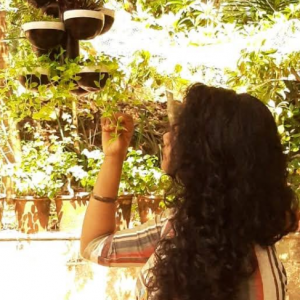 Indu LeenaProfile Image