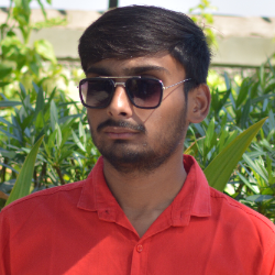 Jenisav Bansal