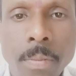 Jin Reddy