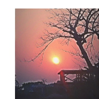 Junesh Jashwanth