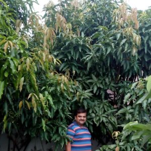 Jyotav Tiwari