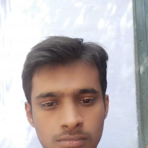 Karthik Ramesh