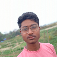 Kaushik Ghosh