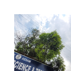 Kavya KashyapProfile Image