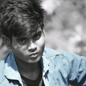 Koushik Biswae
