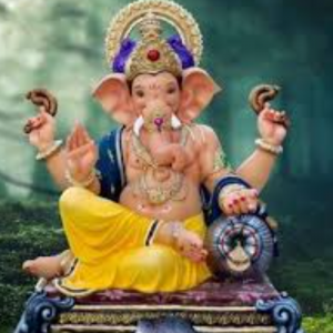 Krishna Kumar