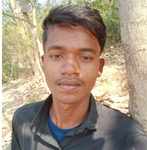 Krishnakumar Bandichhor