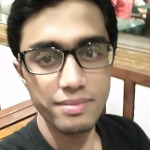 Krishnashrit Goyal