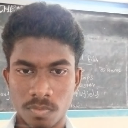 Krishnin PandeyProfile Image