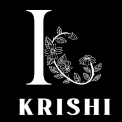 Kriti