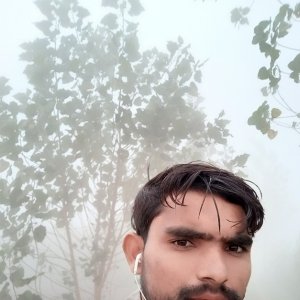 Laliav Iyer
