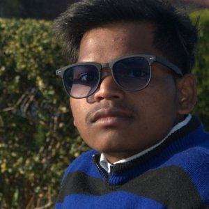 Maneshwaesh Agarwal