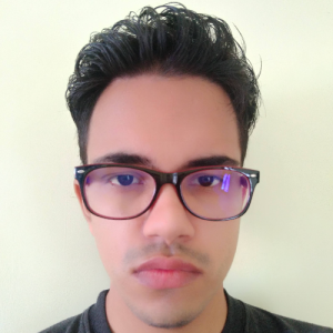 Manisav Kulkarni