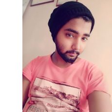 Manisit Reddy