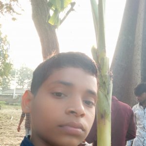 Mankusav Pawar