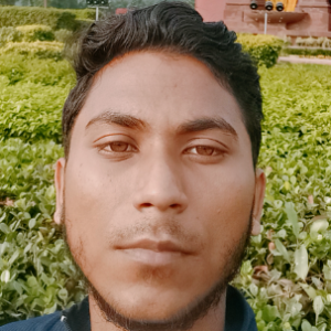 Md Taseerul