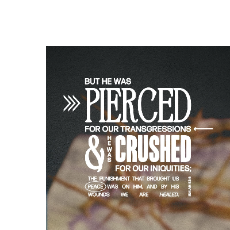 Moasen JamilProfile Image