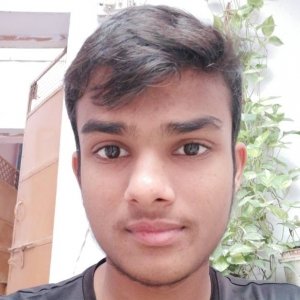 Mohiesh Bansal