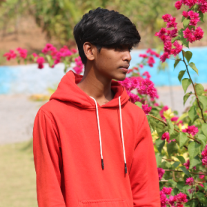 Mr. Raj