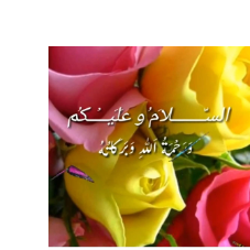 Munir Basheer