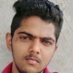 Nagarajit Iyer