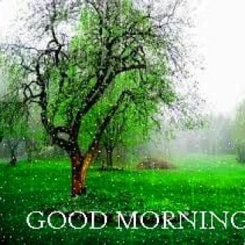 Nagesh Geddam