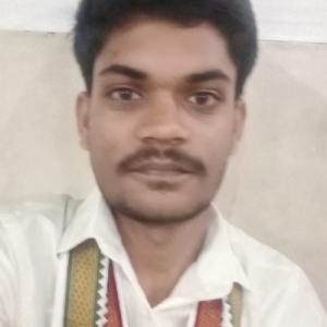 Nageswara BalamkondaProfile Image