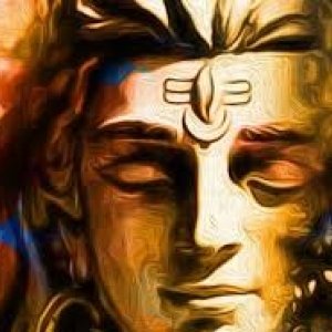 Namburit VermaProfile Image