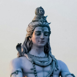 NIKHIL RAO