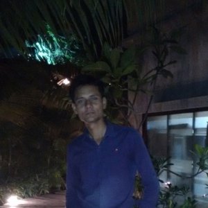 Nimesan Bansal