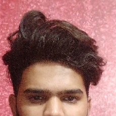 Nisha P
