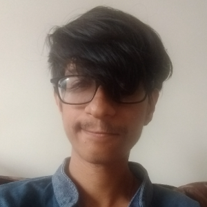 Nitisesh Bansal