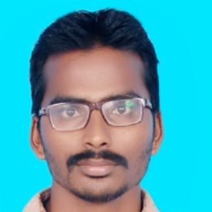 P. Karthik Kumar