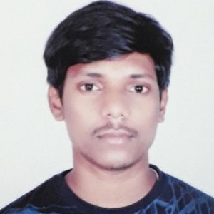 Padmalochaesh Kulkarni