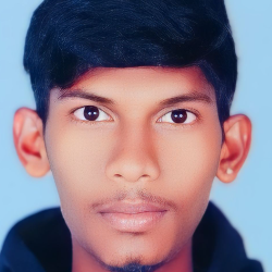 Palani Arunachalam